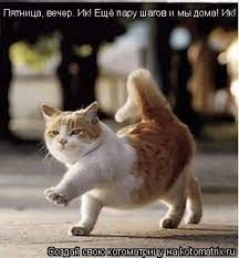 картинки пятница вечер