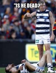 Lmao Geelong Quality Memes Football Jokes Aussie Memes Sports Memes