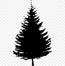 We did not find results for: Black Pine Tree Clipart Evergreen Tree Silhouette Png Image With Transparent Background Toppng