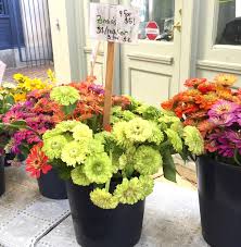 We did not find results for: A Guide To Farmer S Market Flowers America S Table