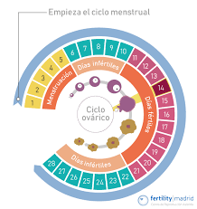 Tengo Los Ciclos Irregulares Puedo Quedarme Embarazada
