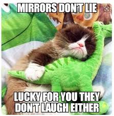 Sometimes You Laught To Your Reflection Grumpy Cat Grumpy Cat Humor Funny Grumpy Cat Memes