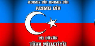 Göktürk mavisi arkaplana beyaz renkli ay ve beş köşeli yıldız çizilmektedir. Dogu Turkisan Daki Zulum Icin Cin E Siber Saldiri Teknoloji Haberleri