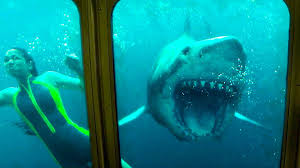 Maybe you would like to learn more about one of these? 47 Meters Down Uncaged Wallpapers Top Free 47 Meters Down Uncaged Backgrounds Wallpaperaccess
