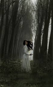 Darkbeautymag Forest Photography Fantasy Photography Dark Photography