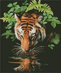 The second photo shows the finished embroidery. Tiger Reflection Cross Stitch Pattern