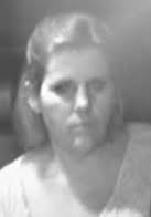 Cedar Road, Palm Cove