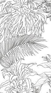 Ohmywall Papier Peint Jungle Tropical Noir Et Blanc Big Panoramique Par Caddous Papier Peint Jungle Dessin Jungle Dessin Foret