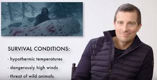 The dromedary camels that are feral in australia are not endangered either. Bear Grylls Talks All About The Time He Slept Inside A Dead Camel Revenant Style Etcanada Com