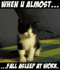 Sleeping At Work Gifs Tenor
