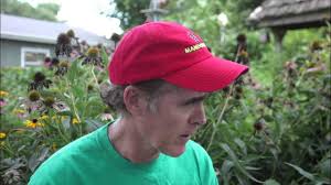 Instrument builder Jim Triggs and mandolins