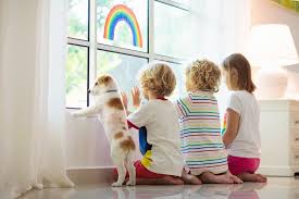 Sherri franklin shows how muttville senior dog rescue is helping people adopt and stay safe. How The Coronavirus Pet Adoption Boom Is Reducing Stress