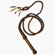 Pin By Mrs Krepp Bhs On Mrs Joe Whip Leather Whip Flogger