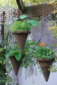 Designer Clare Matthews Hanging Vegetable Garden Calendulas In Flower In Hanging Basket Clivenichol Vegetable Garden Boxes Garden Boxes Diy Porch Flowers