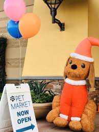 After your appointment is booked. My Pet Market 22 Photos 34 Reviews Pet Stores 2915 W Ray Rd Chandler Az Phone Number