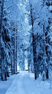 Snowfall Wallpaper Download Group Pictures 46 Snowfall Wallpaper Winter Wonderland Wallpaper Android Wallpaper