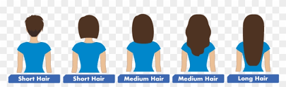 Below we define each hair length as referenced to women's hairstyles. Lice Removal Hair Length Chart Hair Length Short To Long Chart Free Transparent Png Clipart Images Download