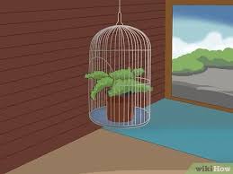 Birdcage décor also makes fabulous centrepieces. 3 Simple Ways To Decorate A Bird Cage Wikihow