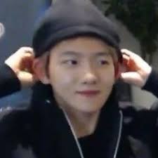 Anjing tentara dingo anjing desa cina anjing kuning besar anjing galak anjing anjing besar waspada marah menyerang gonggongan bekerja keras mengumpulkan siap menyerang bahaya more. Jay Namuuuuu Profil Pinterest