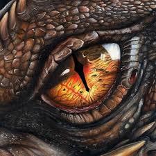 Diamond Painting Dragon Eyes Full Round Animal Diamond In 2020 Dragon Eye Dragon Eye Drawing Diamond Painting
