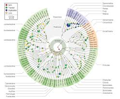 Scientists Decipher 3 Billion Year Old Genomic Fossils