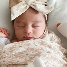 Fundraiser for Courtney Gonzalez by Camryn Howard : Donate in memory of  Violet