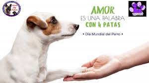 Jun 06, 2021 · día mundial del medio ambiente: Https Www Xn Espaaenfiestas Tnb Es Otras Fiestas D C3 Adas Internacionales D C3 Ada Mundial Perro Html