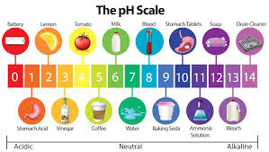 is coffee acidic questions about coffees ph answered