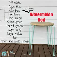 Watermelon Red Goes With In 2019 Orange Couch Color
