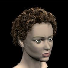 Elegant short hairstyles for women over 50. A List Of Six Hairstyles Produced From Our Techniques These Hairstyles Download Scientific Diagram