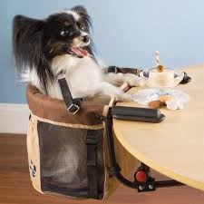 Give Your Dog A Seat At The Table With The Pet High Chair Pets Cute Dogs Cute Animals