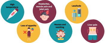 Image result for hepatitis symptoms