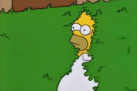 Imgflip pro basic removes all ads. The Story Of The Homer Simpson Backs Into The Bushes Meme