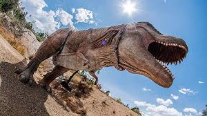 A word or phrase that is commonly used in conversational speech (e.g. Dinosaurios Rtve Es