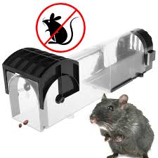 Pest stop rat bait station lockable psrbsp. Top 9 Most Popular Rat Cage Trap Brands And Get Free Shipping 21d3e9cf