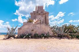 Image result for Monadenium torrei