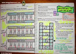 Using the supplied paragraph text environments. Complementary Base Pairing