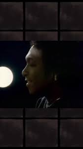 Buongiorno e buon inizio di settimana ❤️80🎼🎶#Gattidivicolodeimiracol...