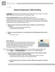 Check spelling or type a new query. Gizmo Dna Profiling Pdf 19 Student Exploration Dna Profiling Vocabulary U200b U200b Dna Polymerase Dna Profiling Gel Electrophoresis Gene Mutation Course Hero