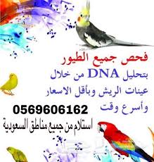 تحليل Dna نضمن لك الجودة باذن الله
