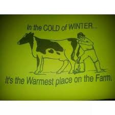 Vetslife Large Animal Vet Veterinary Humor Pet Vet