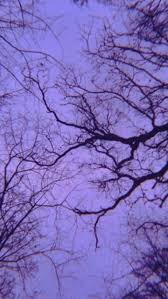 H&m, $29.99 48 of 50. Purple Aesthetic Tumblr Lavender Aesthetic Purple Aesthetic Violet Aesthetic