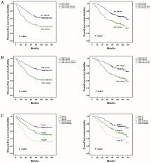 Pre Treatment Serum Alkaline Phosphatase And Lactate