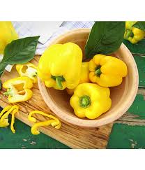 Paprika, dieses ursprünglich aus südamerika stammende nachtschattengewächs, ist heute mit 3. Paprika Gelb Dehner