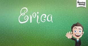 fun facts hidden namemeaning beautiful revelations classy name poster about erica this is 1 out of 10 cha names with meaning character design fun facts