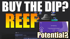 Reef.finance can be exchanged with 5 cryptocurrencies. Reef Price Prediction Should I Buy Reef Dip Reef Price Potential Reef Prediction Reef Profit Youtube
