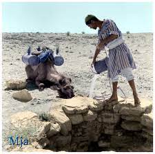 pin on history libya