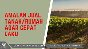 Check spelling or type a new query. Amalan Dan Doa Mahabbah Untuk Menjual Tanah Atau Rumah Agar Cepat Laku Youtube