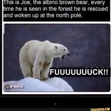 His Is Joe The Albino Brown Bear Every Ime He Is Seen In The Forest He Is Rescued And Woken Up At The North Pole Ifunny Bear