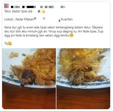 Ditambah potongan cabai atau cabai bubuk saja untuk mendapatkan cita rasa pedas. Pelanggan Bengang Waiter Hanya Gelak Selepas Hidang Telur Dadar Lipas Anak Owner Bagi Diskaun Rm10 Tolong Jaga Kebersihan Jaga Adab Viral Mstar